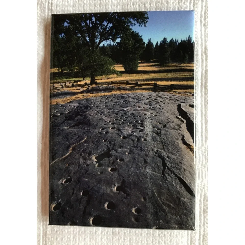 Collectible Photo Magnet Frank Balthis 2 x 3